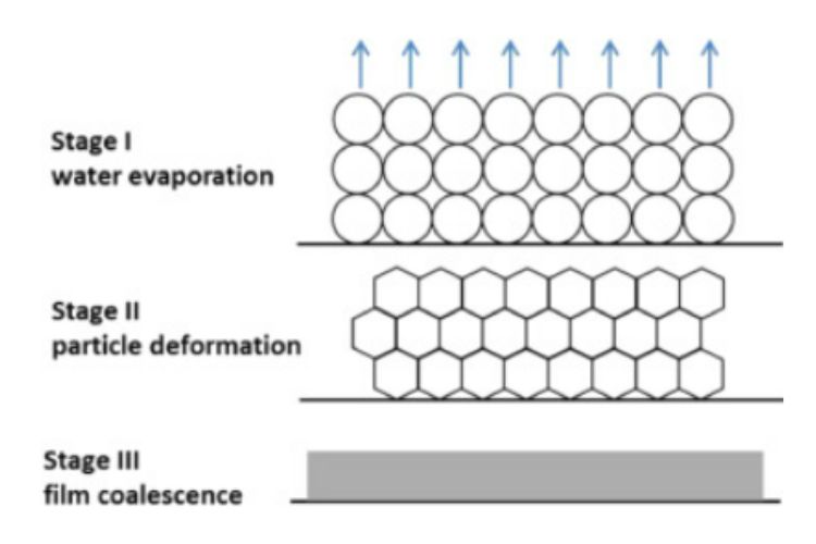 Drying & Hardening of water based paints