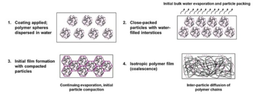 Drying & Hardening of water based paints